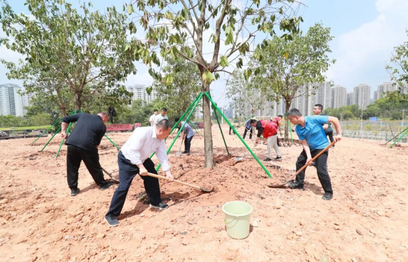 Guangzhou's Huangpu District Pushes Ahead with City-wide Park Development