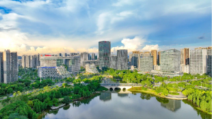 Huangpu pioneers high-quality rural vitalization