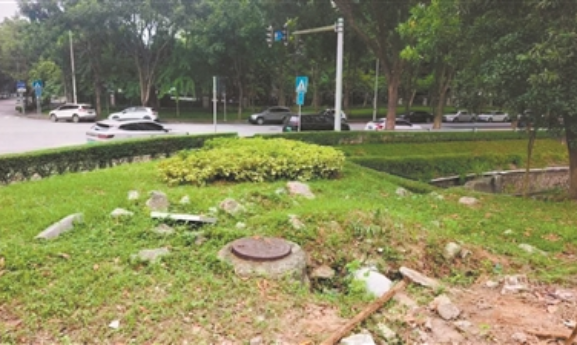 Unused 6,000-Square-Meter Plot Becomes Pocket Park in Guangzhou’s Huangpu