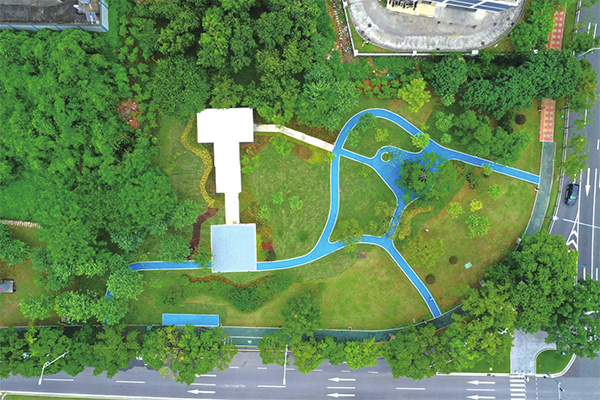 Huangpu promotes city greenspace development