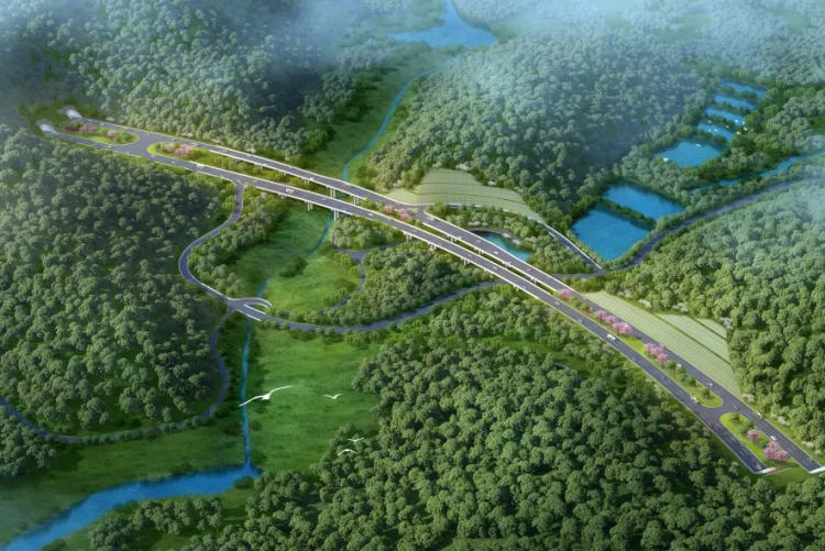 Huangpu's strategic corridor achieves construction milestone
