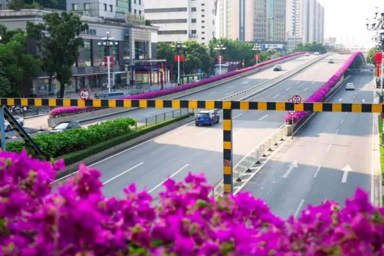 Guangzhou’s Huangpu District Welcomes the 15th National Games with Its “Aerial Flower Corridors”_fororder_图片16