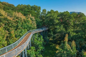 Spring in Huangpu invites cyclists to explore charm