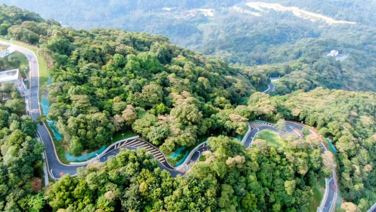 Explore rich culture, scenery, cuisine of Huangpu