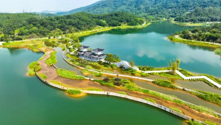Spring in Huangpu invites cyclists to explore charm