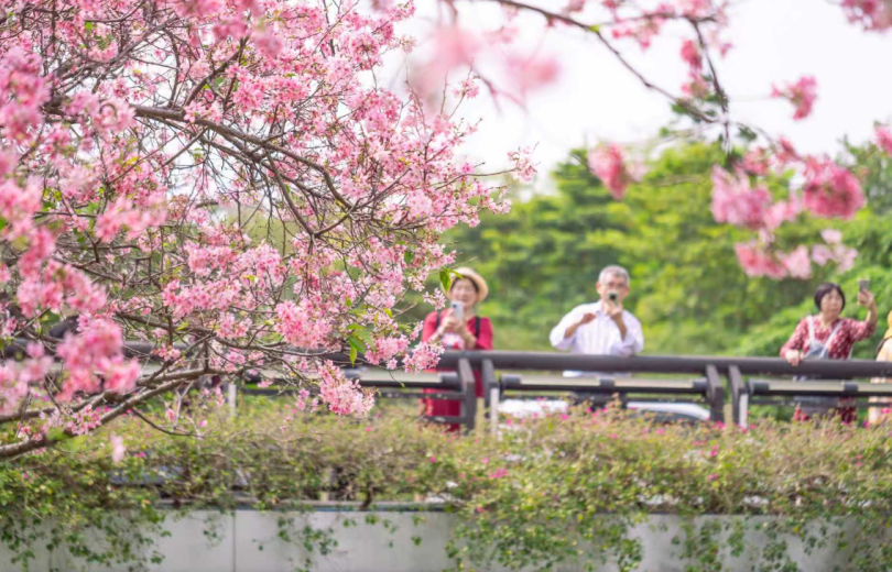 Escape the Traffic! Discover Huangpu's Elegant Suburban Oasis This May Day Holiday