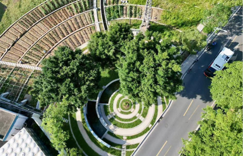 Guangzhou’s Huangpu: A 600-Year-Old Village Offers the Pastoral Life People Long For