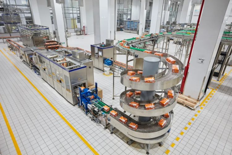 Step into dairy factory to uncover birth of bottle milk