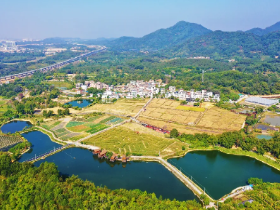 Huangpu pioneers high-quality rural vitalization