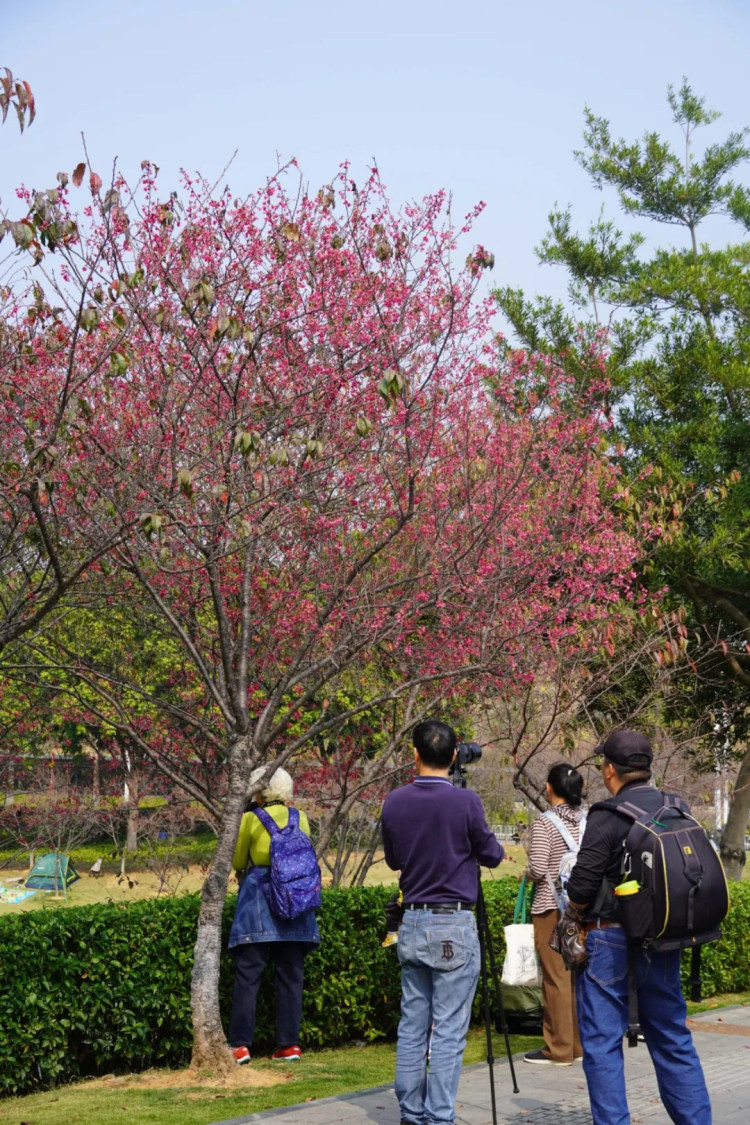 Explore birdwatching paradise in Huangpu