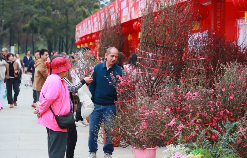 2026 Huangpu Spring Festival Flower Market Opens to Visitors