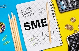 Policies urged to safeguard SMEs innovation