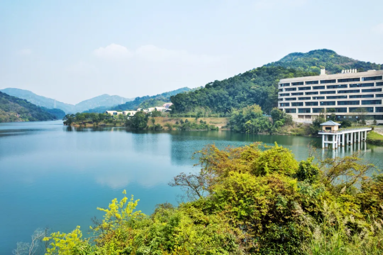 Spring in Huangpu invites cyclists to explore charm