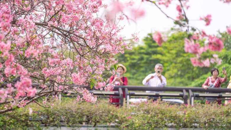 Escape the Traffic! Discover Huangpu's Elegant Suburban Oasis This May Day Holiday