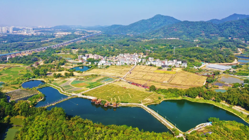 Huangpu emphasizes residential environment development