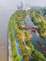 Huangpu promotes city greenspace development