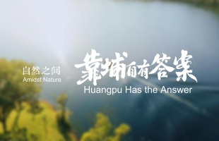Amidst Nature, Huangpu Has the Answer_fororder_自然之间-英文版-封面