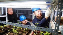 国网阜新供电公司“一户一策”呵护“种宝宝”健康繁育