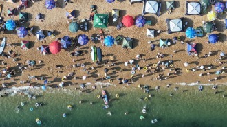 辽宁大连：海滨消暑