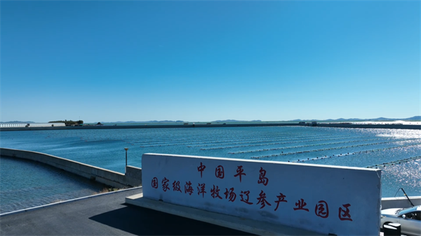 图说·普兰店 | 打造“中国辽参产业之都”城市产业品牌_fororder_图说普兰店2