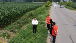 垃圾带变身绿意长廊 阜新化石戈镇公路沿线“美丽新生”