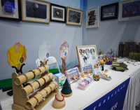 沈阳市孤独症儿童学校代表辽宁省亮相全国残疾人职业教育成果展示活动