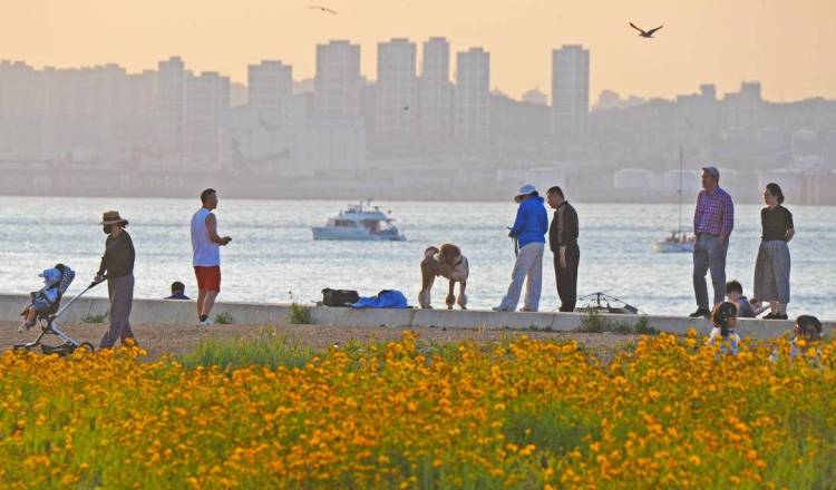 大连：盛夏花开游人醉