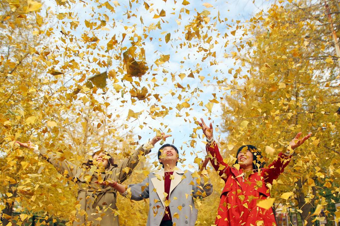 秋日限定款，漫天飞舞的金色浪漫