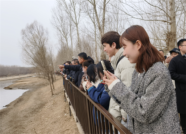 与天鹅浪漫同框 朝阳北票天鹅节“圈粉”海外游客_fororder_图片3