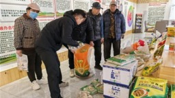 大连普兰店：算好三本“暖心账” 春耕备耕底气足