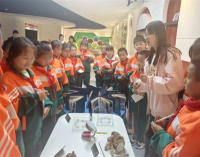 沈阳市蒲松路小学开展中国医科大学生命科学馆研学活动