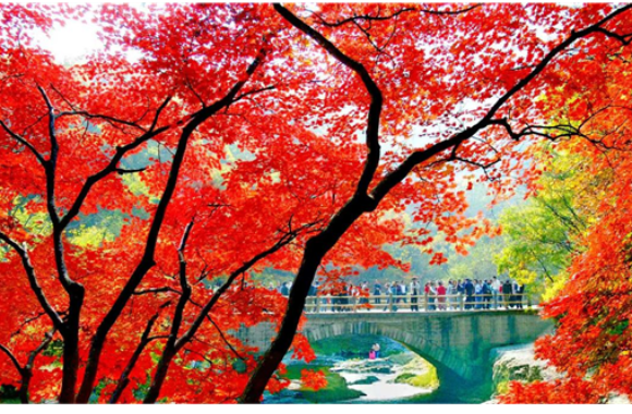 好好聊“辽” | 本溪：生态立市 绿色赋能