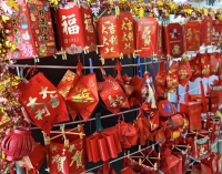 沈阳市博才中学博才校区开展美育劳育实践活动