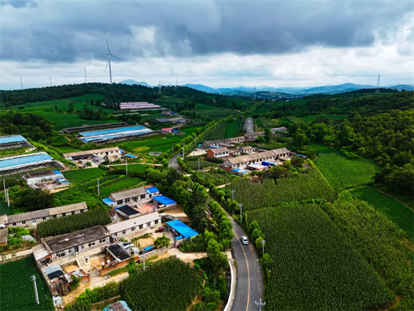 美丽农村路“修”出民生幸福新画卷_fororder_普兰店修路1.JPG