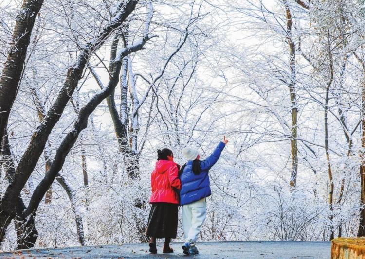 丹东首场雪后 锦江山也披上了“银装”