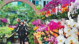 辽宁鞍山：春日经济升温