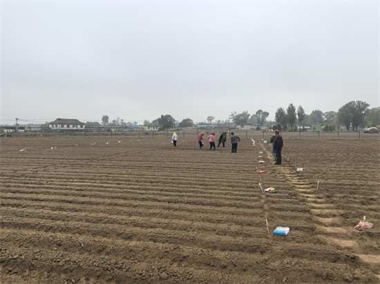 大连普兰店区：良种扎根“试验田” 科技结出“致富穗”_fororder_普兰店2