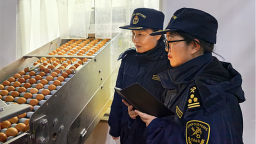 鞍山蛋制品“首秀”海外市场