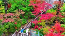 辽宁本溪：秋景缤纷迎客来
