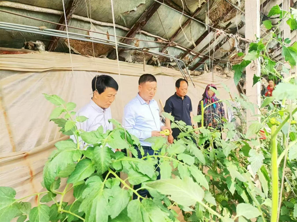 送清凉、送健康、送帮扶、送服务 沈阳市残联开展助残“四送”活动_fororder_残联送清凉3