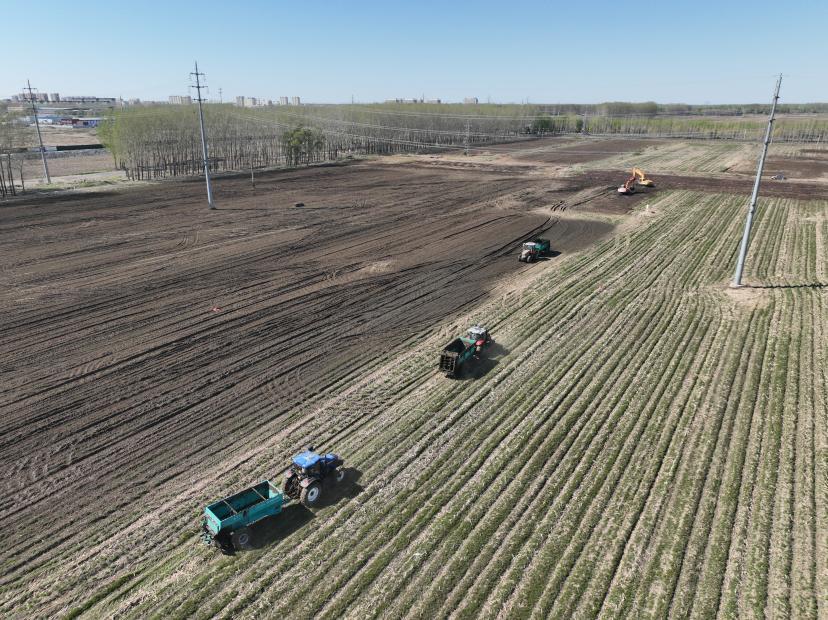 辽中肉牛粪污资源化：“变废为宝”的绿色传承