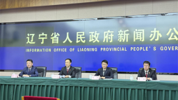 辽宁法院2024年新收各类知识产权案件11733件，审结11356件