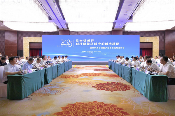 “院士锦州行”为钠离子储能产业发展把脉赋能_fororder_锦州院士1