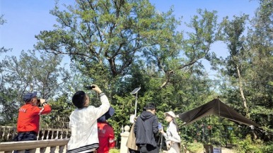 （待核实）首届黄渤海分界线候鸟微观赛暨生态体验季在大连旅顺启动