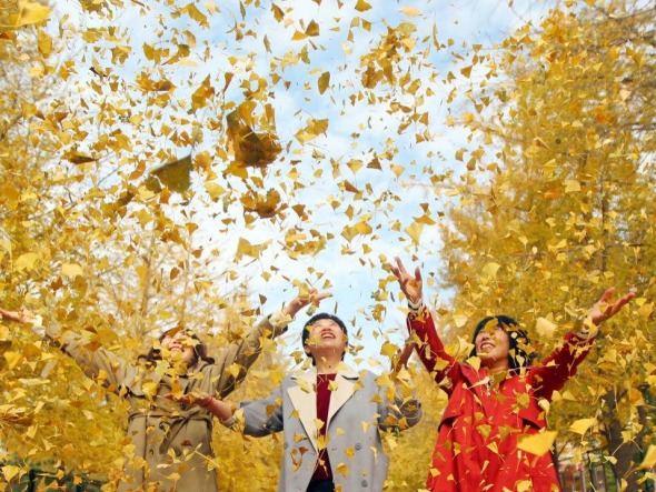 秋日限定款，漫天飞舞的金色浪漫