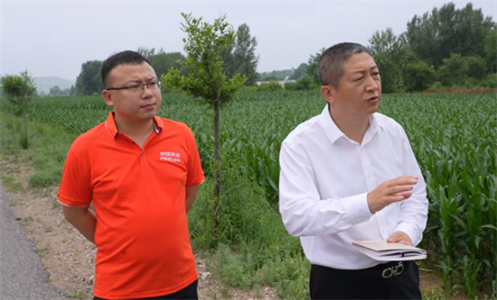 垃圾带变身绿意长廊 阜新化石戈镇公路沿线“美丽新生”_fororder_阜新图3