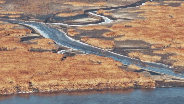 苇海冬景如画卷