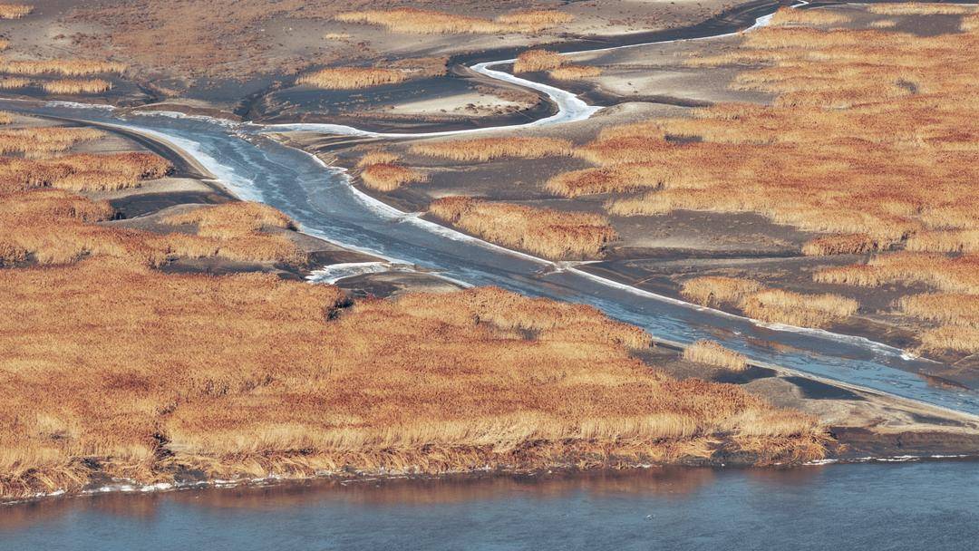 苇海冬景如画卷