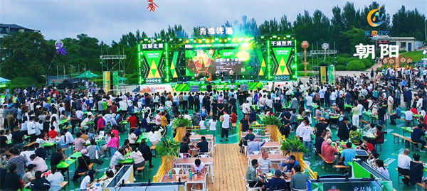 2025辽宁夏日消费季暨大连啤酒嘉年华启幕_fororder_城市-04 - 副本