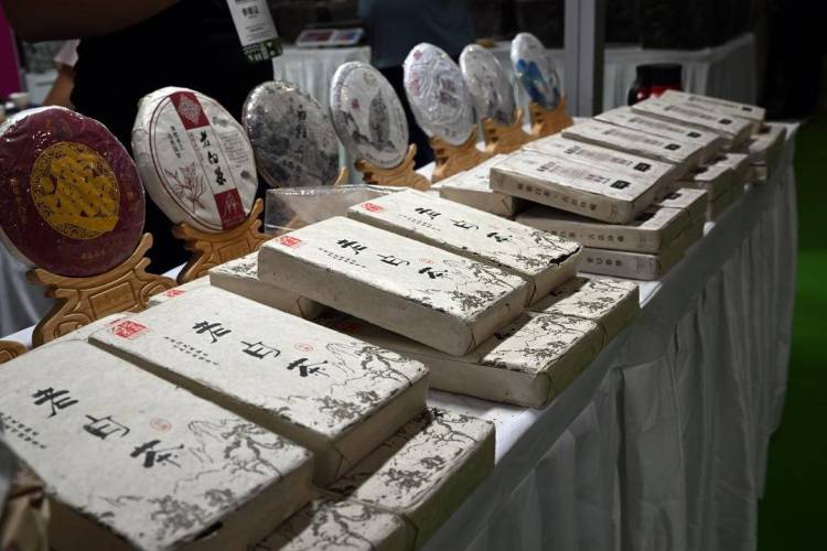 第9届中国（沈阳）国际茶产业博览会开幕